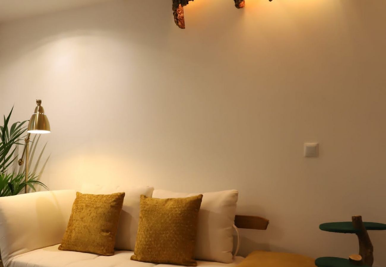 Apartamento em Porto - Nature Cosy Private House,w/AC Downtown near Metro