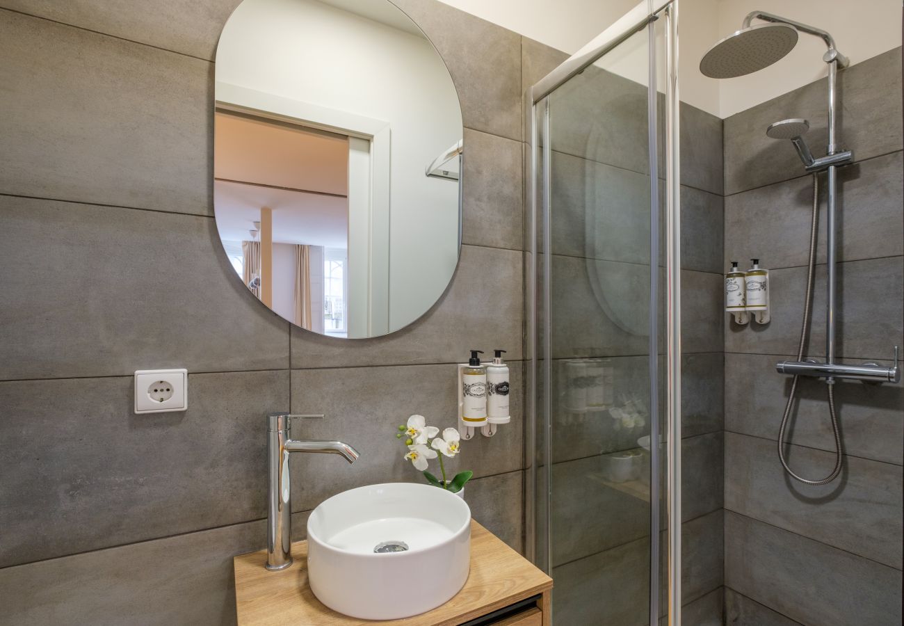 Apartment in Porto - Luxury Artistic House, Downtown Porto near Metro