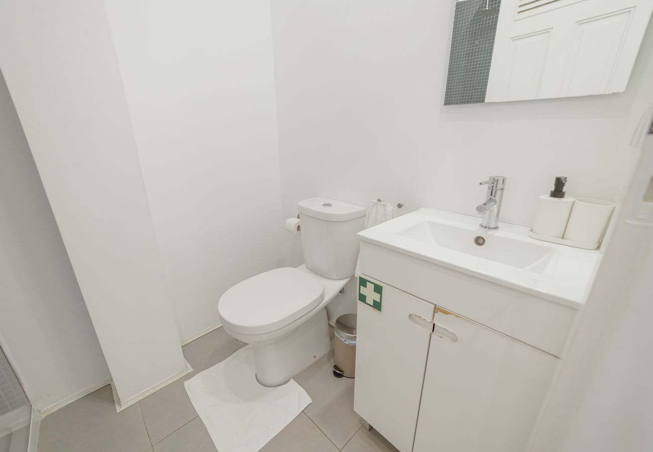 Apartment in Porto - Green House Downtown - Diogo